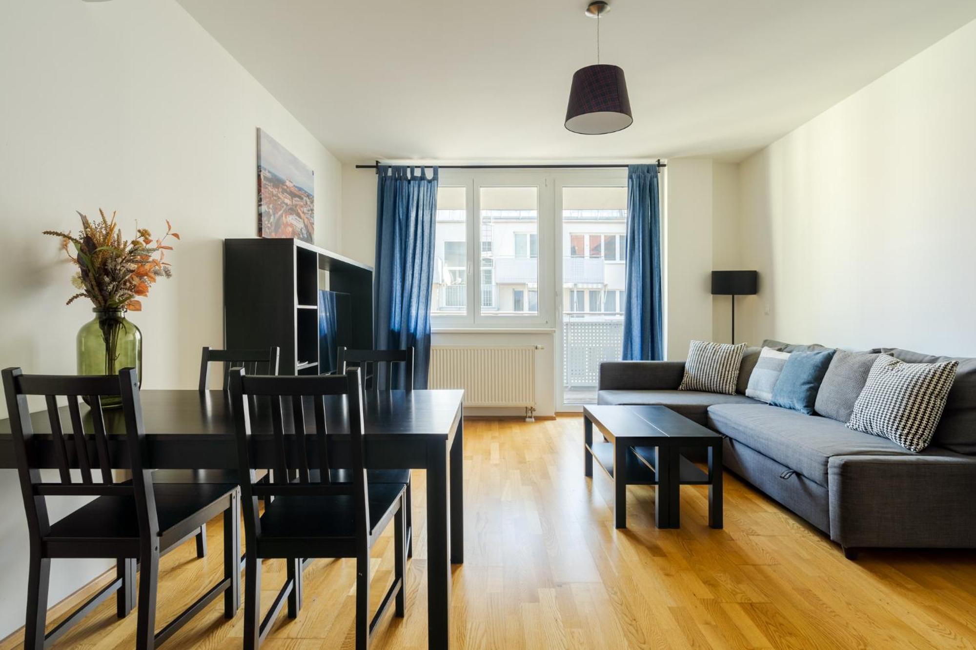 Business & Family Ambiente Apartament