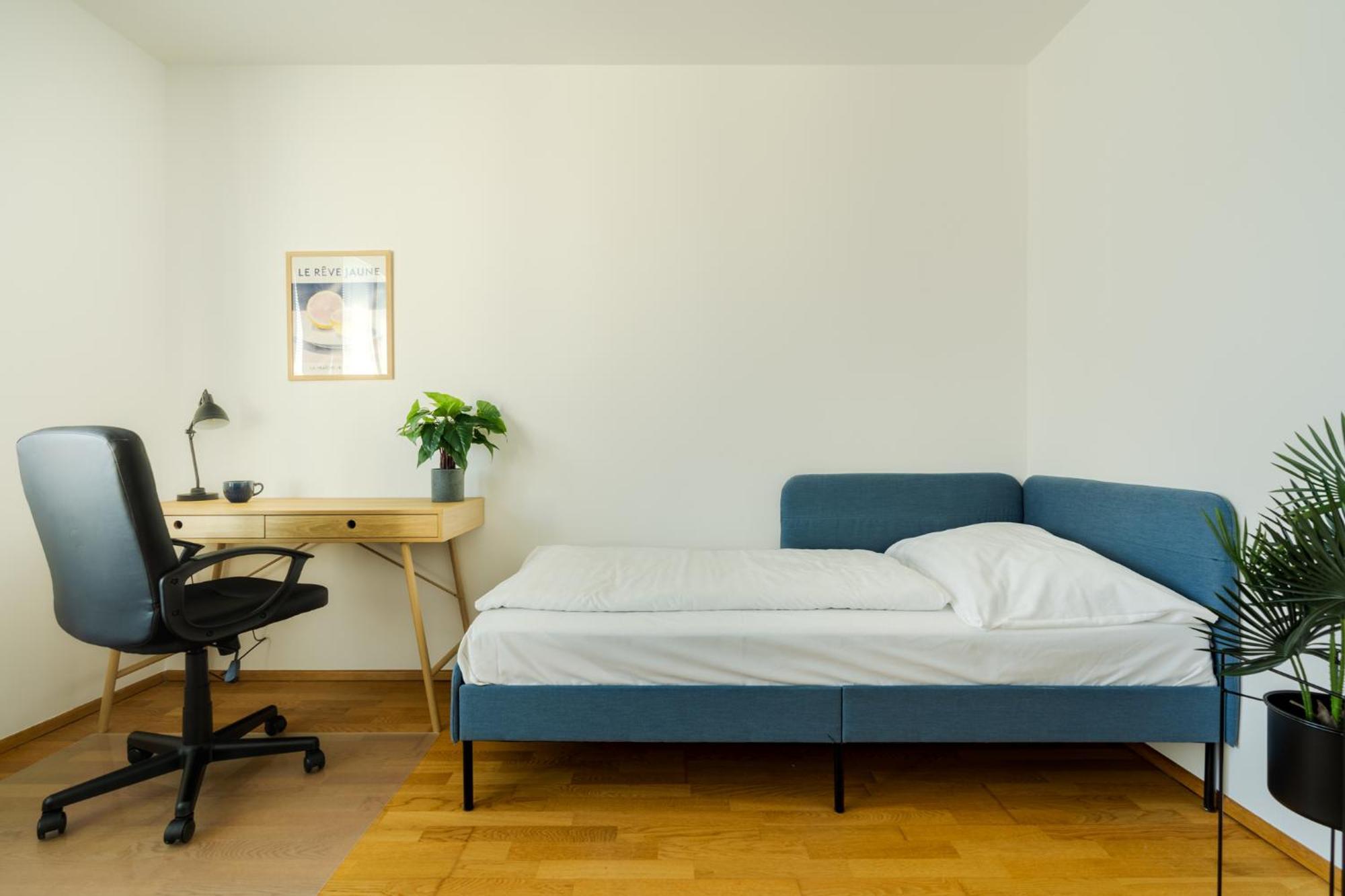 Apartament Business & Family Ambiente *